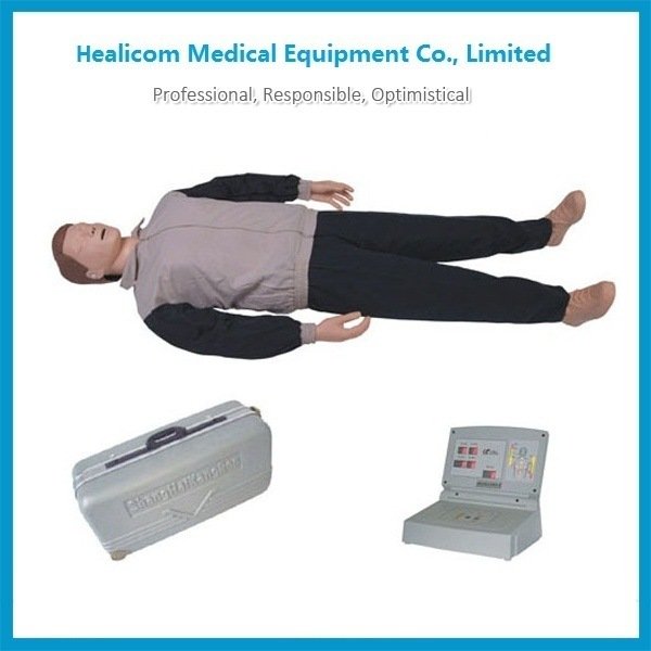 H-CPR300s-a High Quality CPR Training Manikin