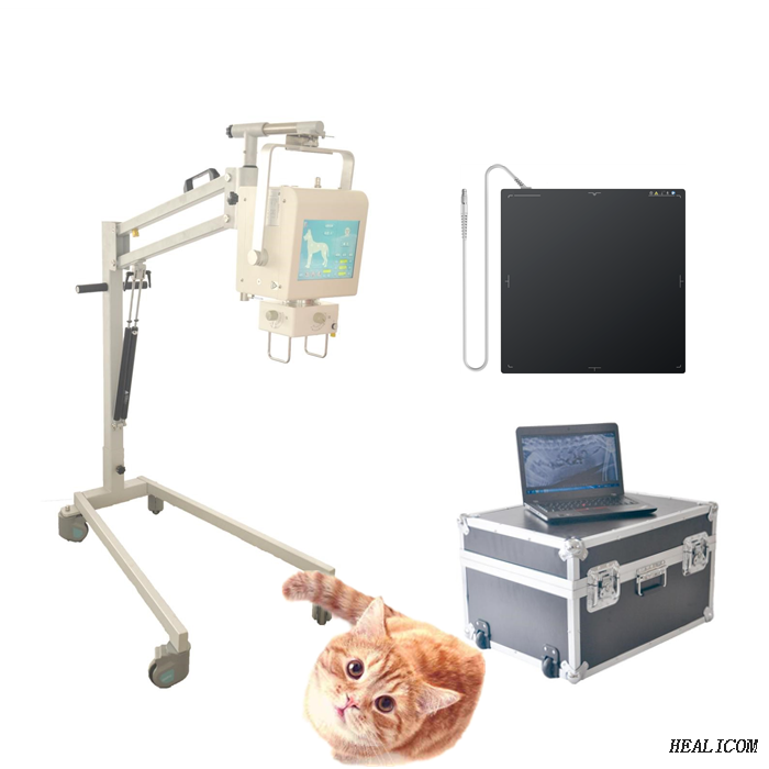Cheap Price WTX-05DR Veterinary Vet Medical Digital Portable X-ray machine for animal