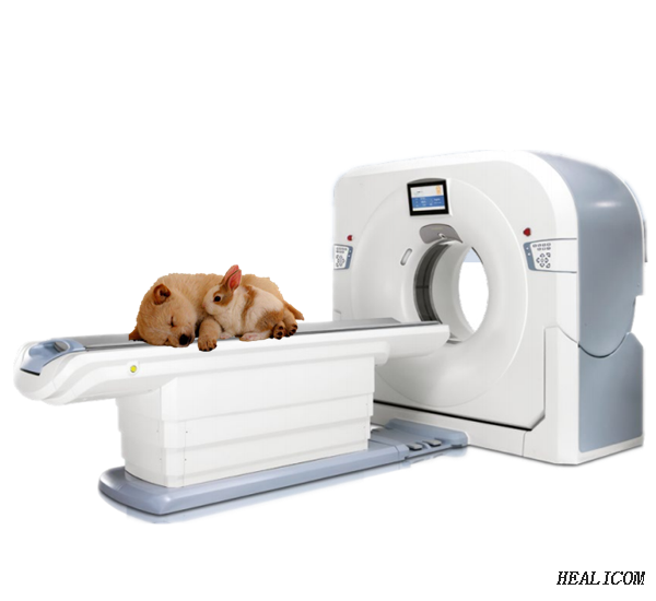 Top Quality WCT-1veterinary ct scan machine for animal