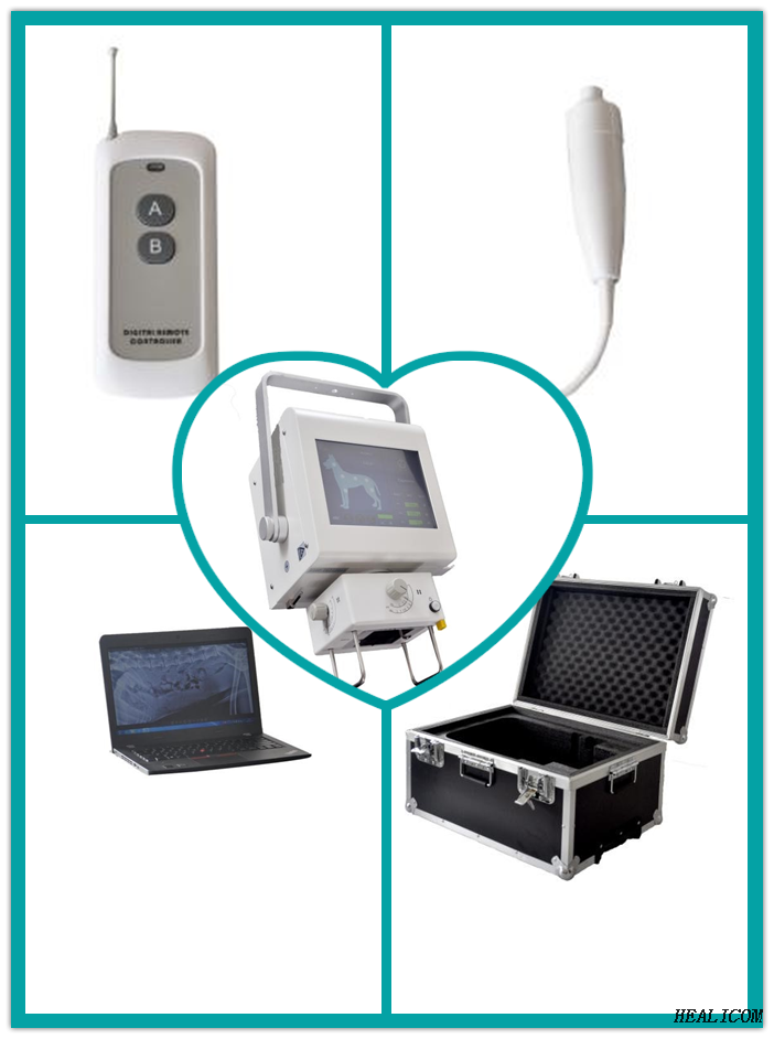 Cheap Price WTX-05DR Veterinary Vet Medical Digital Portable X-ray machine for animal